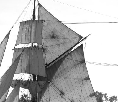 Hawaiian Chieftain