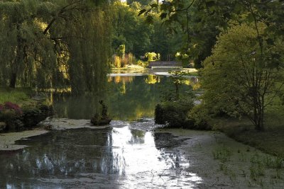 La Somme quelques kilomtres aprs sa source, dans un parc priv.