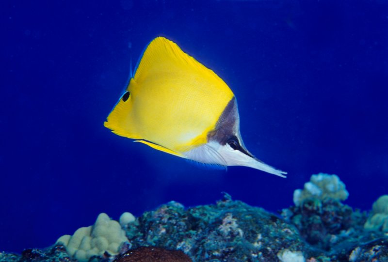 IMG036.jpg