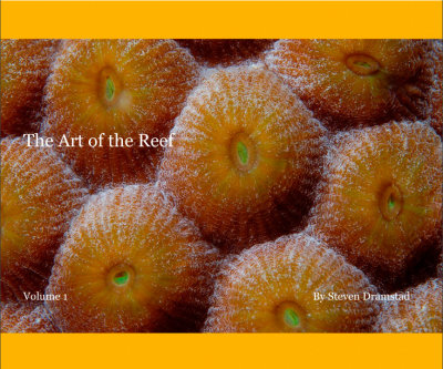 the_art_of_the_reef