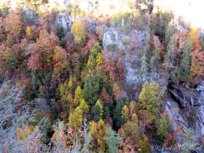 Tallulah Gorge