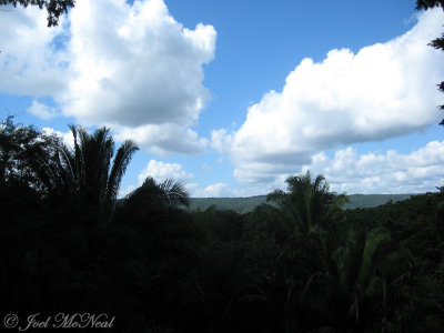 view from hill overlook at Chan Chich