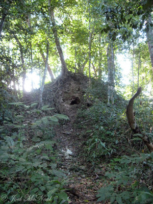 King's Tomb, Chan Chich