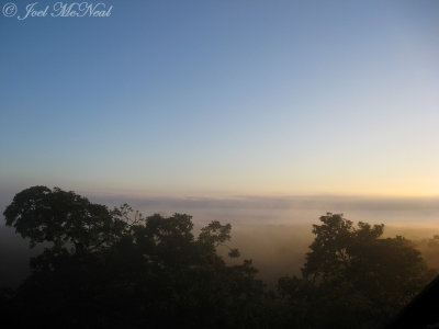 Dawn mist over jungle from Temple V