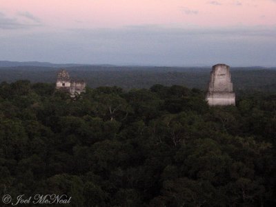 View of temples III, II, and I from atop Temple IV at sunset