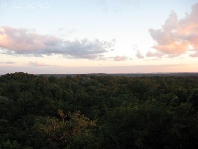 View of jungle canopy from Temple IV at sunset