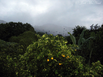 view from hotel Camino Verde