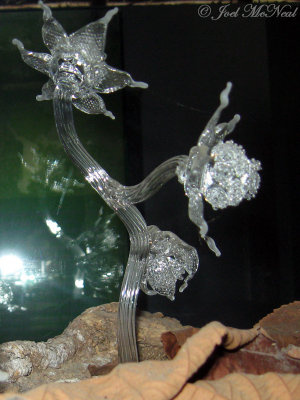 glass sculpture of Lacandonia schismatica