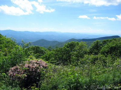 View from Brasstown Bald