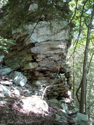 Rock formation at Fall Creek Falls