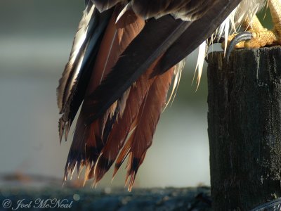 g1/76/731076/3/129235086.ZtDxtU4D.jpg