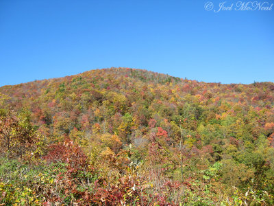 Brasstown Bald