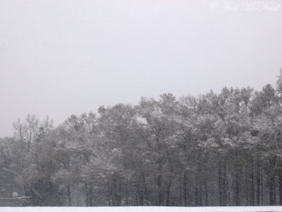 Sandy Creek Park in snow squall; Athens, GA