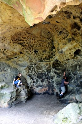 June 3rd - Castle Rock and Henry Cowell