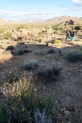 ST-Joshua-25.jpg