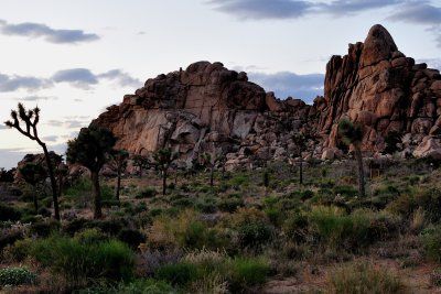 ST-Joshua-56.jpg