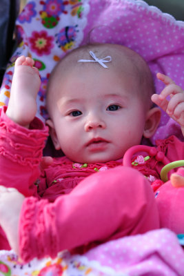 Scandia 2010 -21.jpg