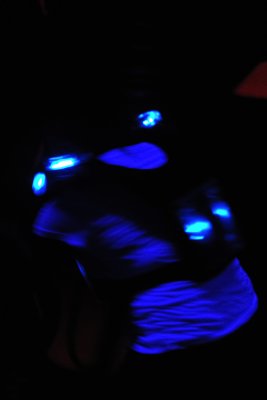 Scandia 2010 -59.jpg