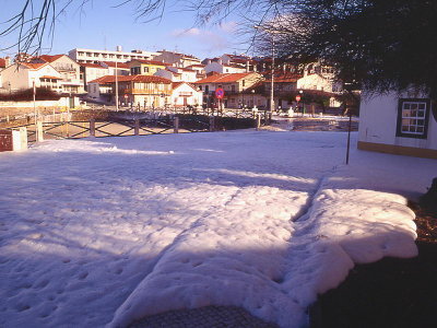SPedro-Espuma.jpg
