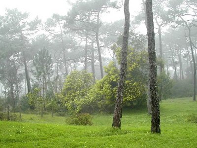 DSCN9344
