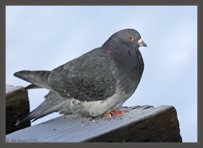 g1/76/777976/3/110107412.Je0mSjPh.jpg