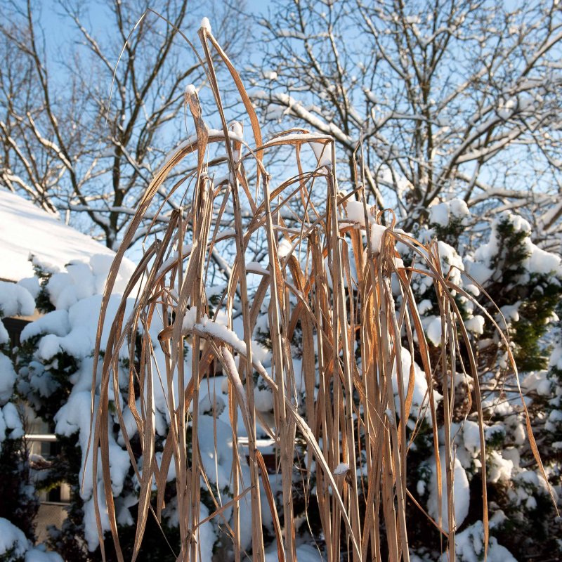 DSC_2829.jpg