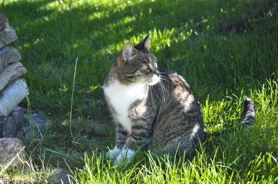 DSC_1831.jpg