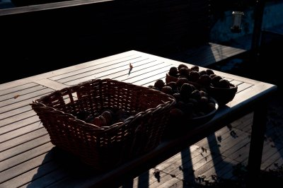 DSC_2389.jpg