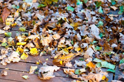 DSC_2391.jpg