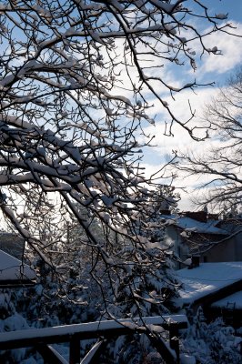 DSC_2826.jpg