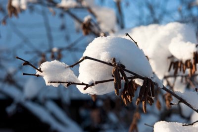 DSC_2833.jpg