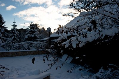 DSC_2851-2.jpg