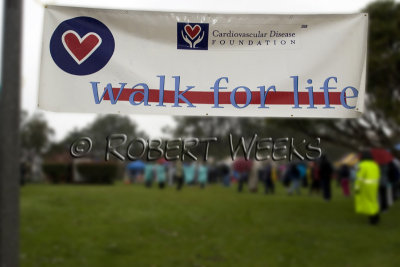 Cardiovascular Disease Foundation - 5K Walk