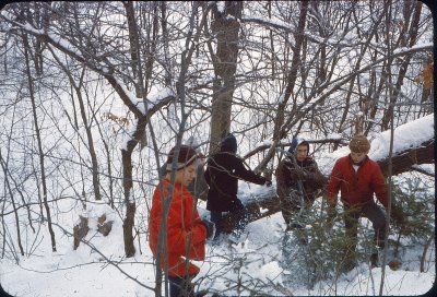 Untitled-Scanned-13c.jpg