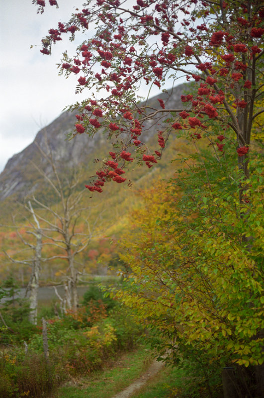 mountain path