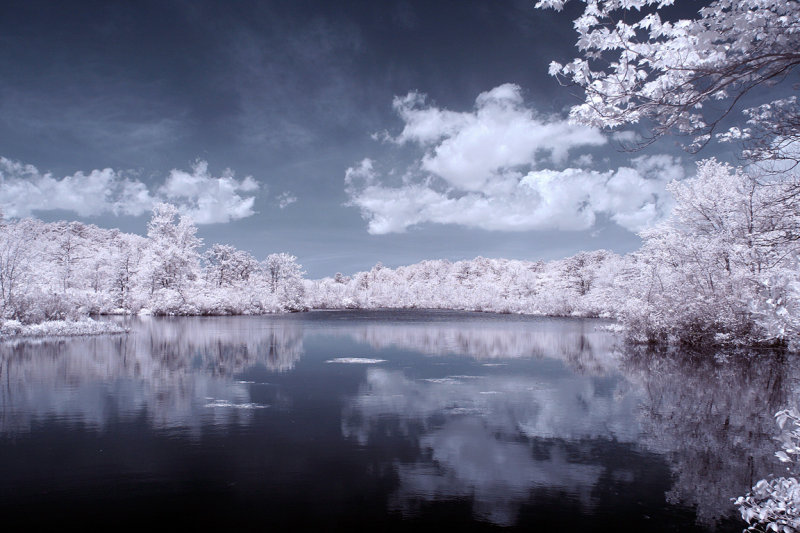 Connetquot pond