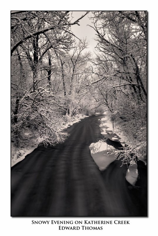 Snowy Evening on Katherine Creek