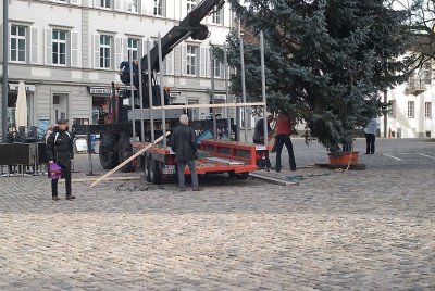 DSC_1547_01.jpg