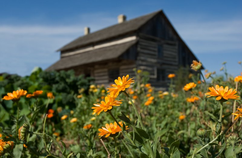 Schottler Farm