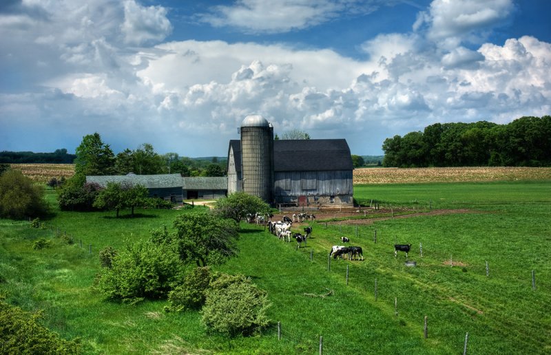 Farm on Hwy. XX in Manitowoc County