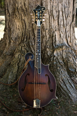 The Jerusalem Ridge Mandolin