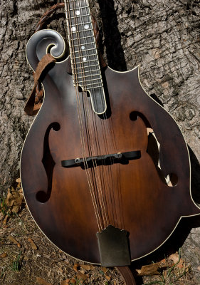 The Jerusalem Ridge Mandolin