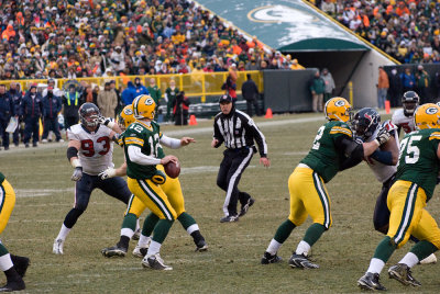 Aaron Rodgers (12) drops back to pass