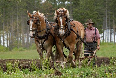 Spring plowing.