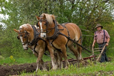 Spring plowing.