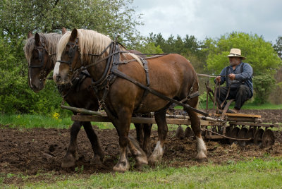 Spring plowing.