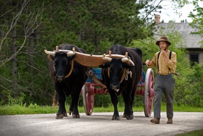 Farmer with yoke of oxen.