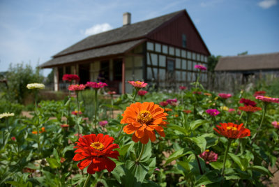 Schulz Farm