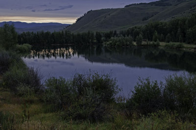 evening at the pond