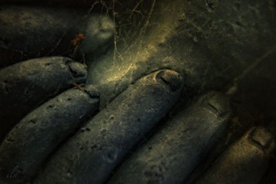 a child's hands